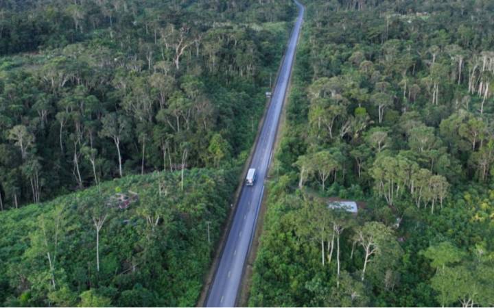 Áreas protegidas en riesgo: 830,500 kilómetros de carreteras amenazan a 3,837 reservas sudamericanas