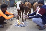 Cold Wave likely in Odisha as temperatures plunge below 10°C