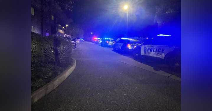 Man, 18, shot and killed in parking lot during party at Richmond apartment complex