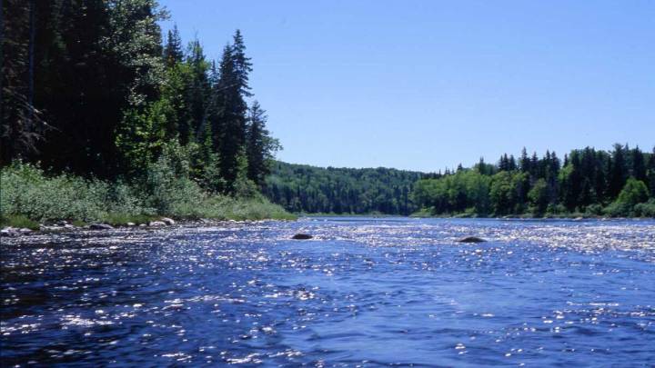 New initiative lets every St. John Valley 8th grader participate in Allagash canoe expedition