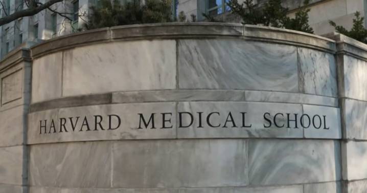 Two men arrested in connection with Harvard explosion