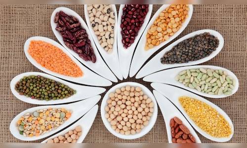 Govt prunes around 2.25 cr ineligible beneficiaries under food law in last 4