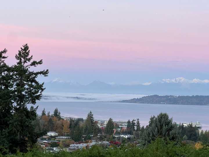 Scene in Edmonds: Around town