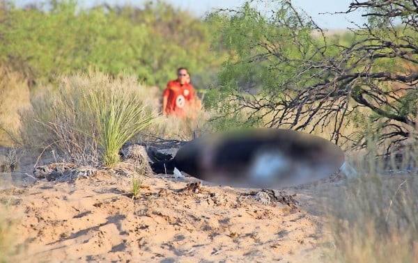 Han muerto más de 500 migrantes mexicanos este año