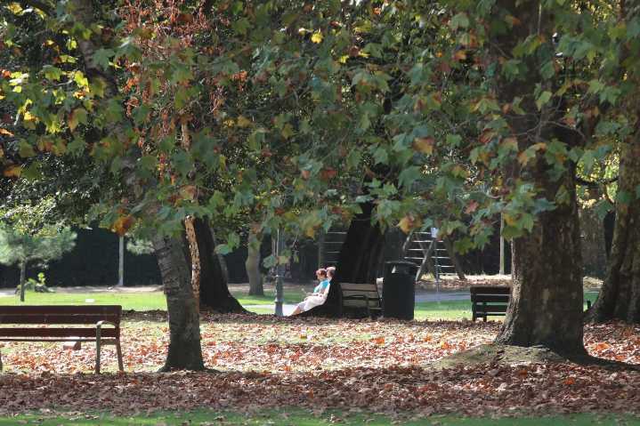 Los 133 bancos del Ferrera serán limpiados y pintados en los próximos días