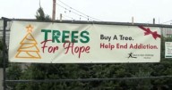Local tree lot in Springfield funds recovery, aids families