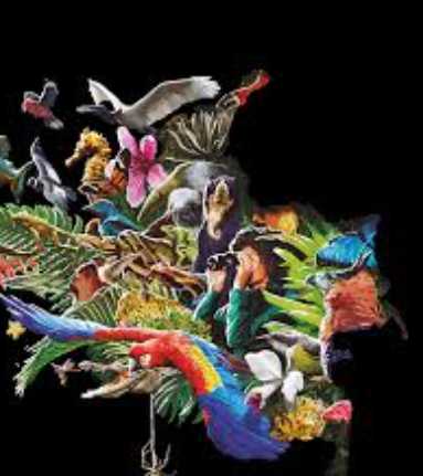 🇨🇴 Colombia: el tesoro mundial de biodiversidad, cultura y música que conquista al planeta