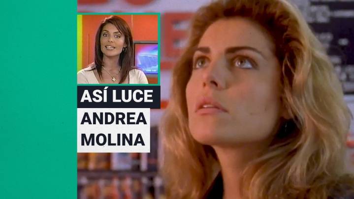 Dio vida a la icónica "Sussi" e incursionó en la política: Así luce hoy Andrea Molina, la recordada figura de la TV chilena