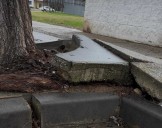 El PSOE denuncia que los arreglos de El Juncal “se quedaron a medias”