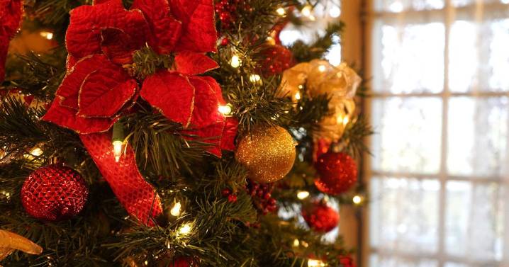 Lights, carols and community: Hamilton's Daly Mansion celebrates Festival of Trees