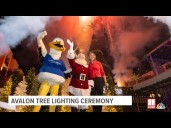 Avalon Tree Lighting Ceremony