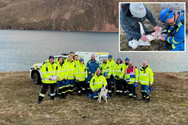Dog 'remarkably unscathed' after falling 100 feet down Scottish cliff