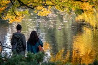 Gorgeous fall weather headed for the Portland area this weekend