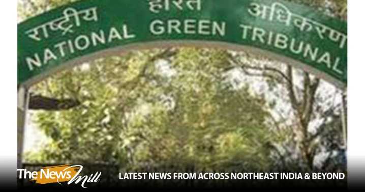 NGT directs UP govt to map extent of heavy metal contamination in Kanpur region, submit timeline in two weeks