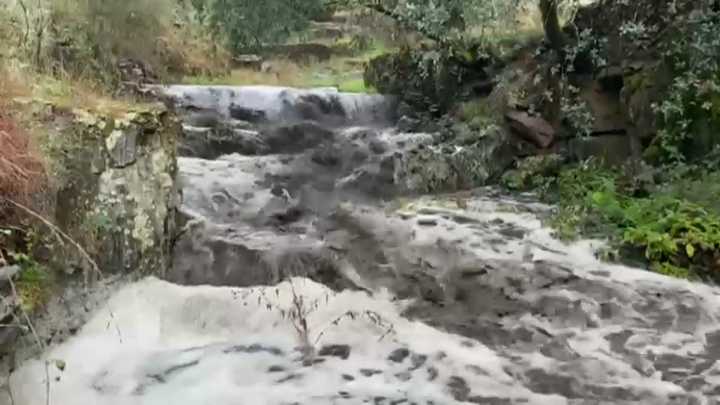 No se registran muertes de peces tras el incendio de Jarilla, según el Servicio de Pesca More