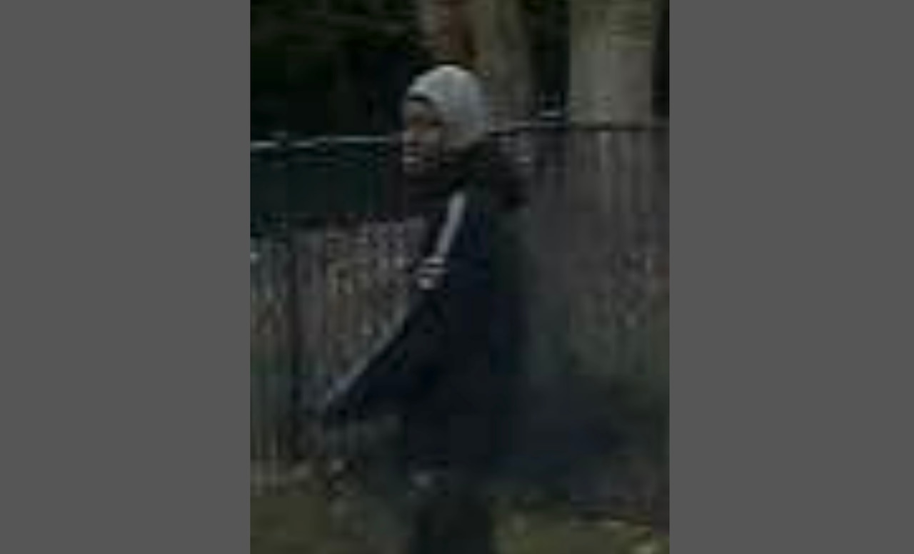 Man sought after attacking woman pushing stroller in N.J. neighborhood