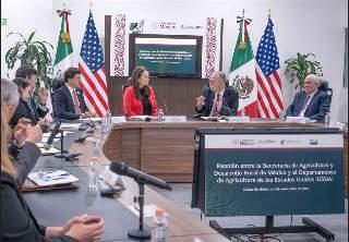 México y EEUU constatan avances de campaña contra gusano barrenador