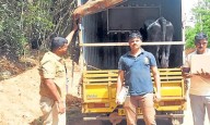 Mangaluru: Cattle smuggling busted in Malluru, accused taken into custody