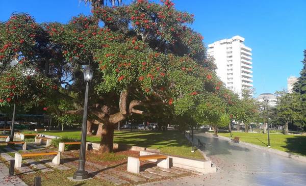 La Plata, en modo primavera este jueves: se viene un finde veraniego