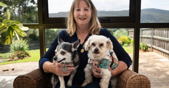 Offering owners peace of mind at Hannah's Farm dog sanctuary