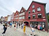 Maybe we need a little socialism