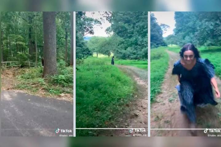 Video: Mujer es guiada al bosque por una app y se encuentra con bruja