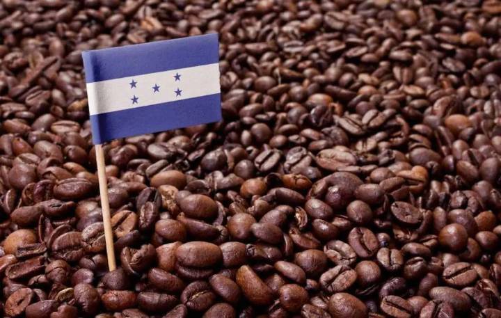 Honduras destaca eliminación de arancel al café por Estados Unidos