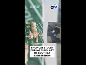 Shop cat stolen during burglary of South L.A. barbershop