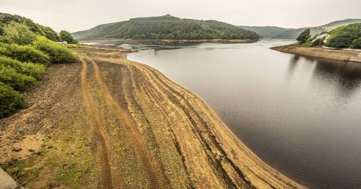 Cambridgeshire faces dry 2026 even if UK gets wet winter