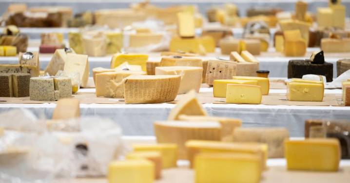 Heady odors and sensory overload as 5,200 cheeses compete for the World Cheese Awards |