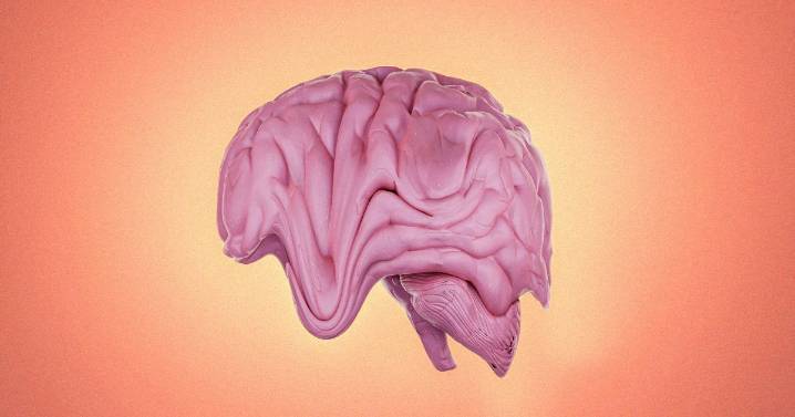 New Development Environment for Programmers Rewards Them With Brainrot When They Prompt the AI