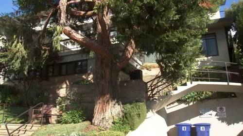 Bay Area man accused of breaking into Cal sorority house, watching women shower