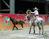 San Luis Potosí una vez mas sede del Congreso y Campeonato Nacional Charro