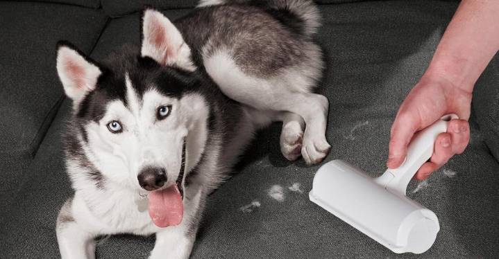 Black Friday deals that are most popular with Verge readers