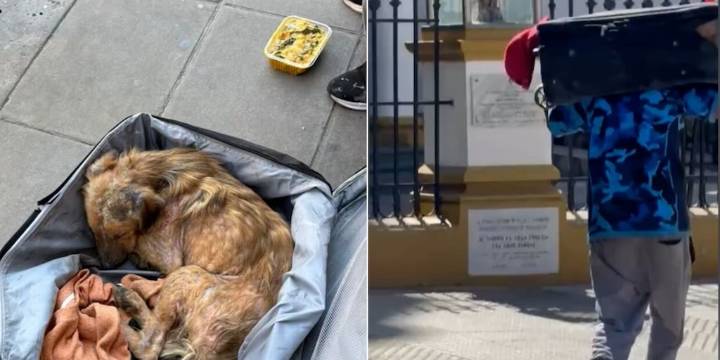 La emocionante historia de Ramón, un cachorro rescatado dentro de una valija que conmueve a las redes sociales