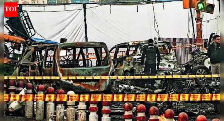 Delhi car blast: Umar met Syria terror operative in Turkiye in 2022