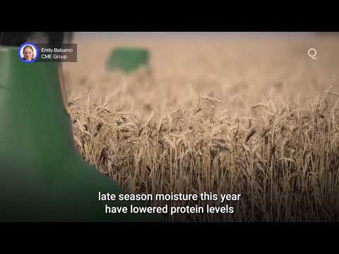 Winter Wheat Markets Have Flipped the Script