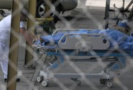 Detuvieron a «el catire», el hombre que mató y echó a la basura a un policía