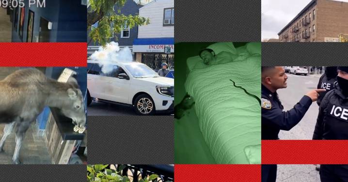 AI video slop is everywhere, take our quiz to try and spot it