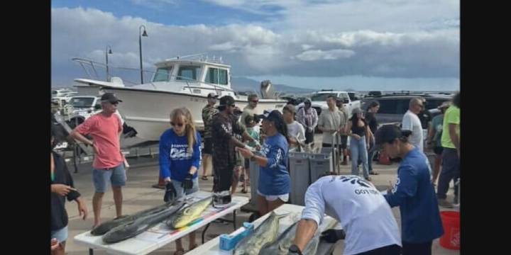 Maui fishers donate thousands of pounds of fish to feed hungry families