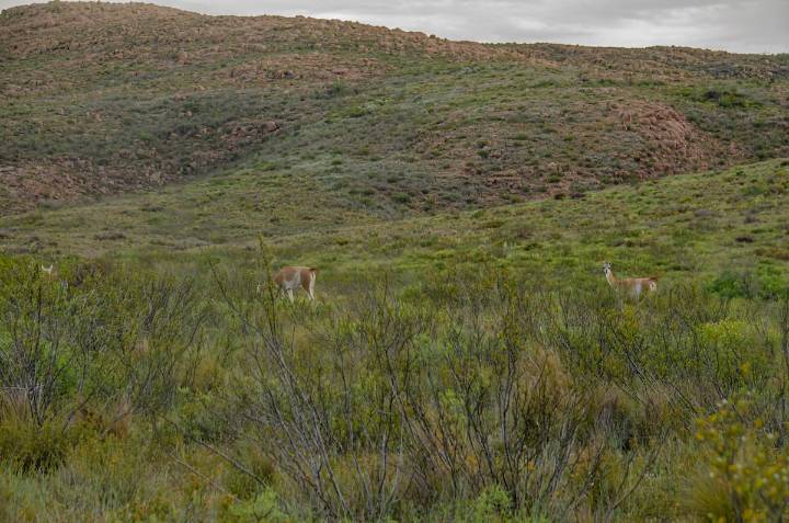 Un oasis con paisaje serrano y senderos ideales para caminatas