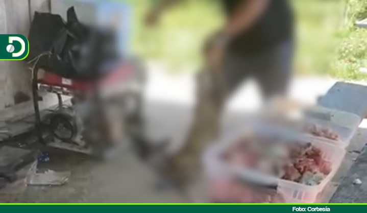 Vinculan a la mujer que grabó el ataque al perro en Bolívar: Fiscalía investiga su posible responsabilidad