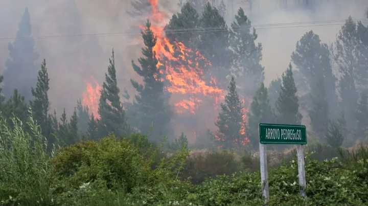 Incendio en Epuyén: el fuego habría iniciado por causas humanas