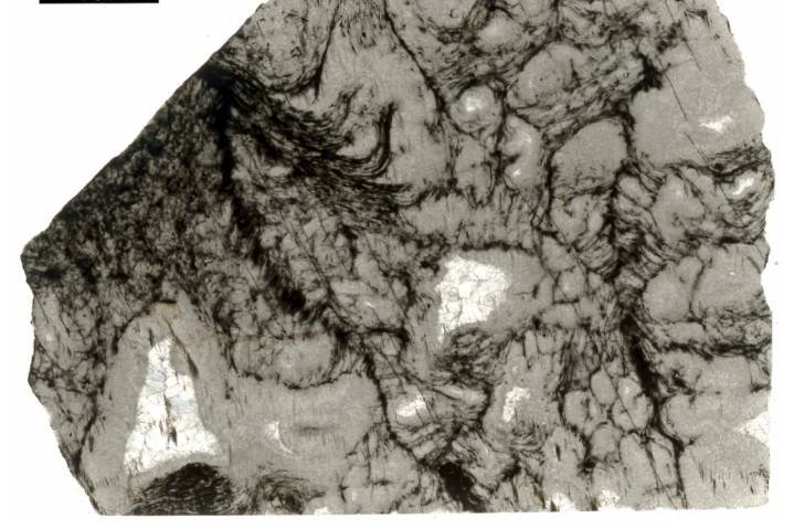 Científicos detectan pruebas de vida con 3.300 millones de años de antigüedad