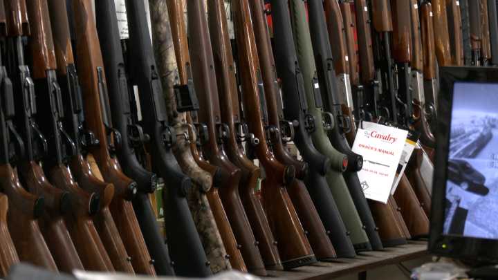 Report recommends stricter gun laws to enhance safety in Michigan
