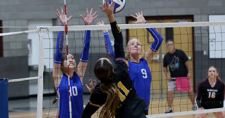 NPA volleyball advances to state tournament with play