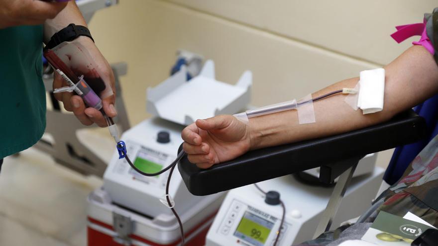 La UMA acoge una nueva campaña de donación de sangre y médula