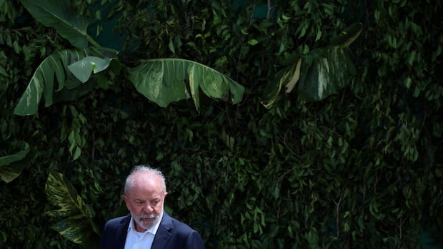 Norway, Indonesia, Brazil and others pledge billions to bold new plan to protect tropical forests