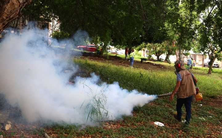 Por lluvias aumentan los casos de dengue en zona sur de Tamaulipas