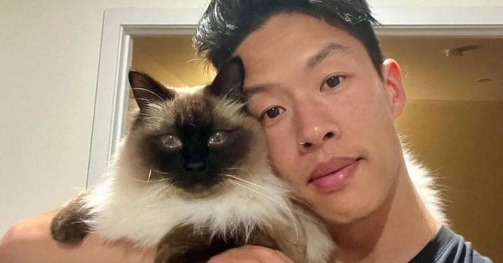 Lilies toxic to cats: Jun spent $5000 trying to save his cat from a common household plant. Now he's on a mission to protect other pets